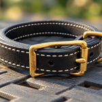 1 inch black leather working dog collar with white stitching and gold-colored buckle and D-ring