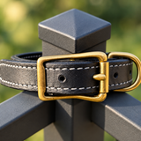 Black leather working collar with white stitching displayed on an outdoor fence post