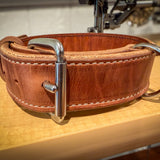 Heavy-duty 1.5-inch Hermann Oak leather working dog collar