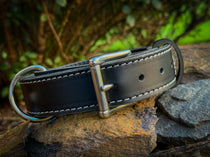 1.5-inch full-grain leather working dog collar