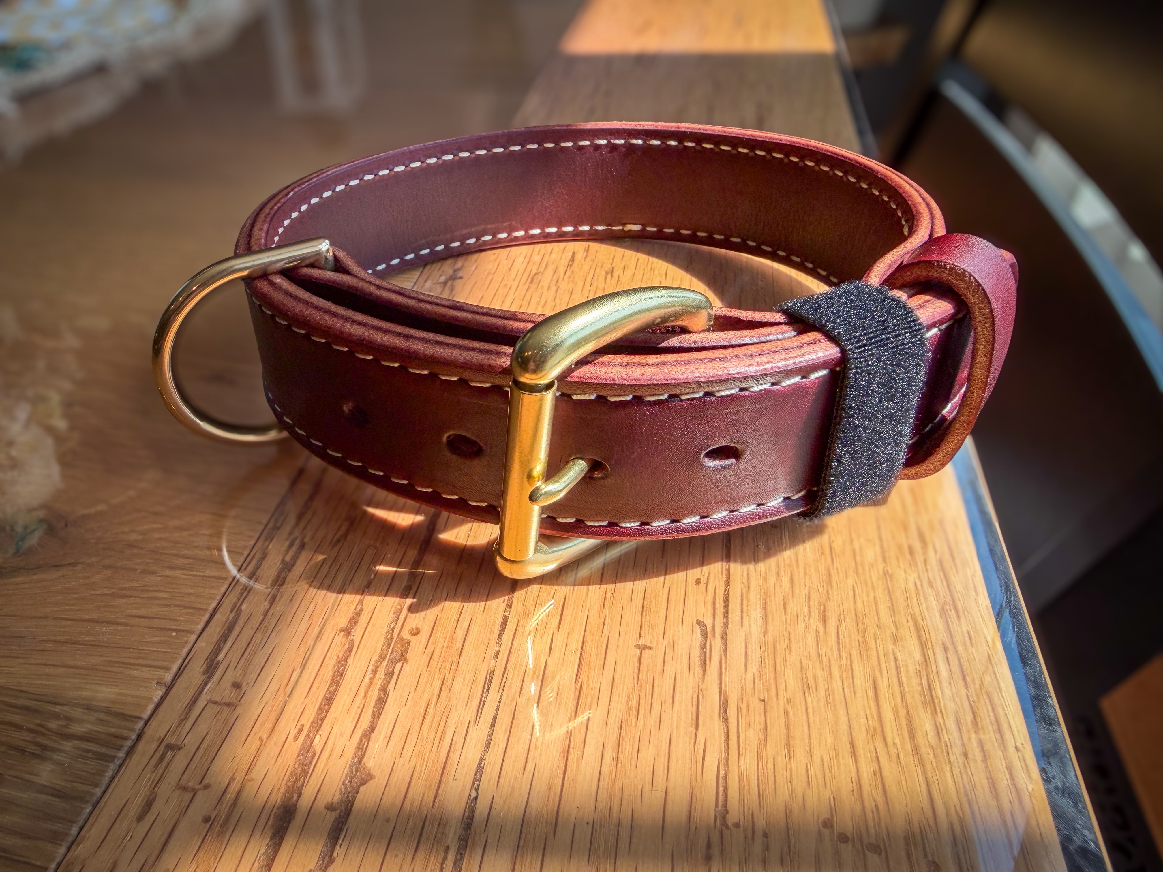 Heavy-duty 1.5-inch Hermann Oak leather working dog collar