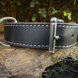 Heavy-duty 1.5-inch Hermann Oak leather working dog collar
