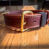 Heavy-duty 1.5-inch Hermann Oak leather working dog collar