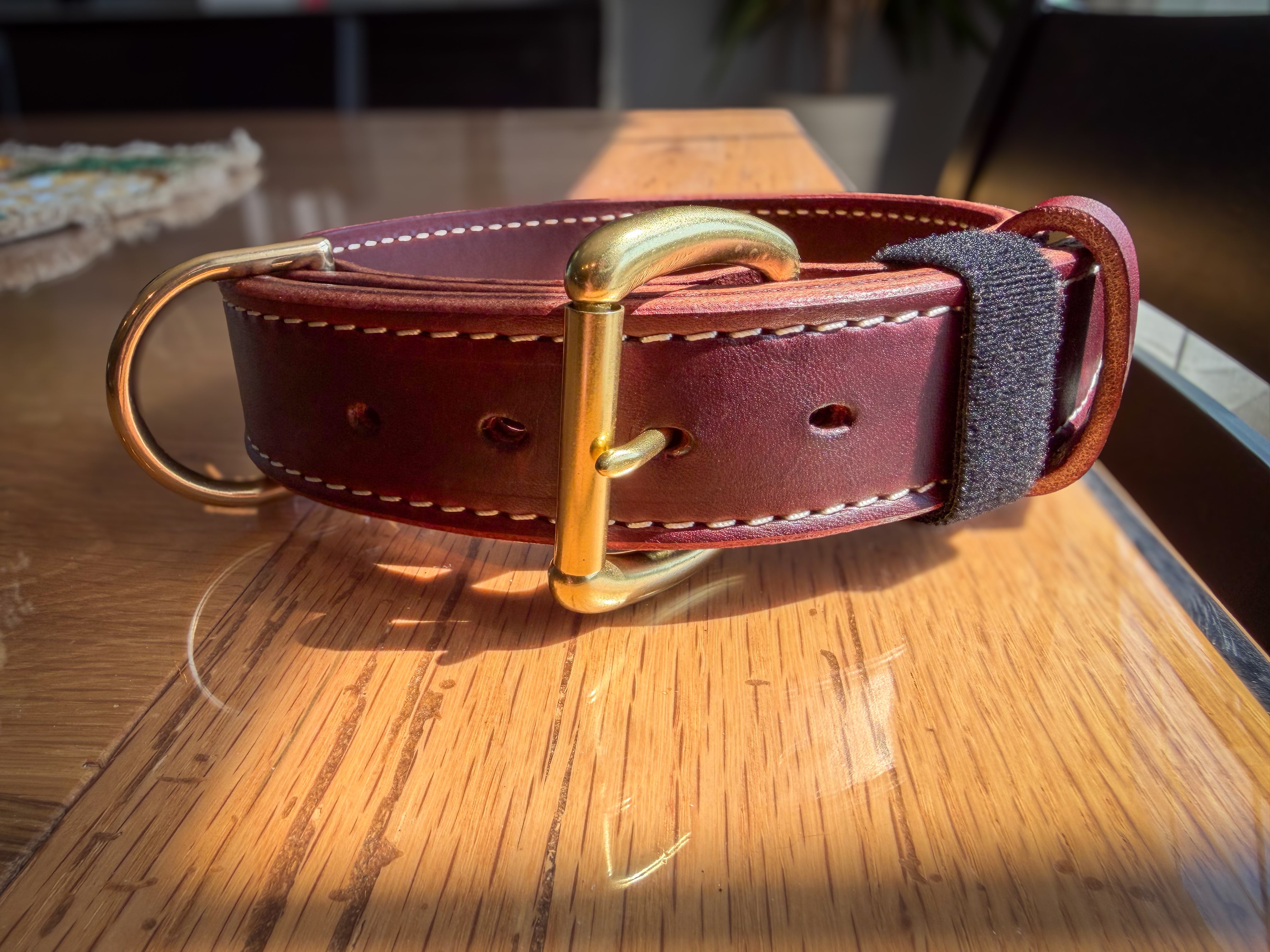 Heavy-duty 1.5-inch Hermann Oak leather working dog collar