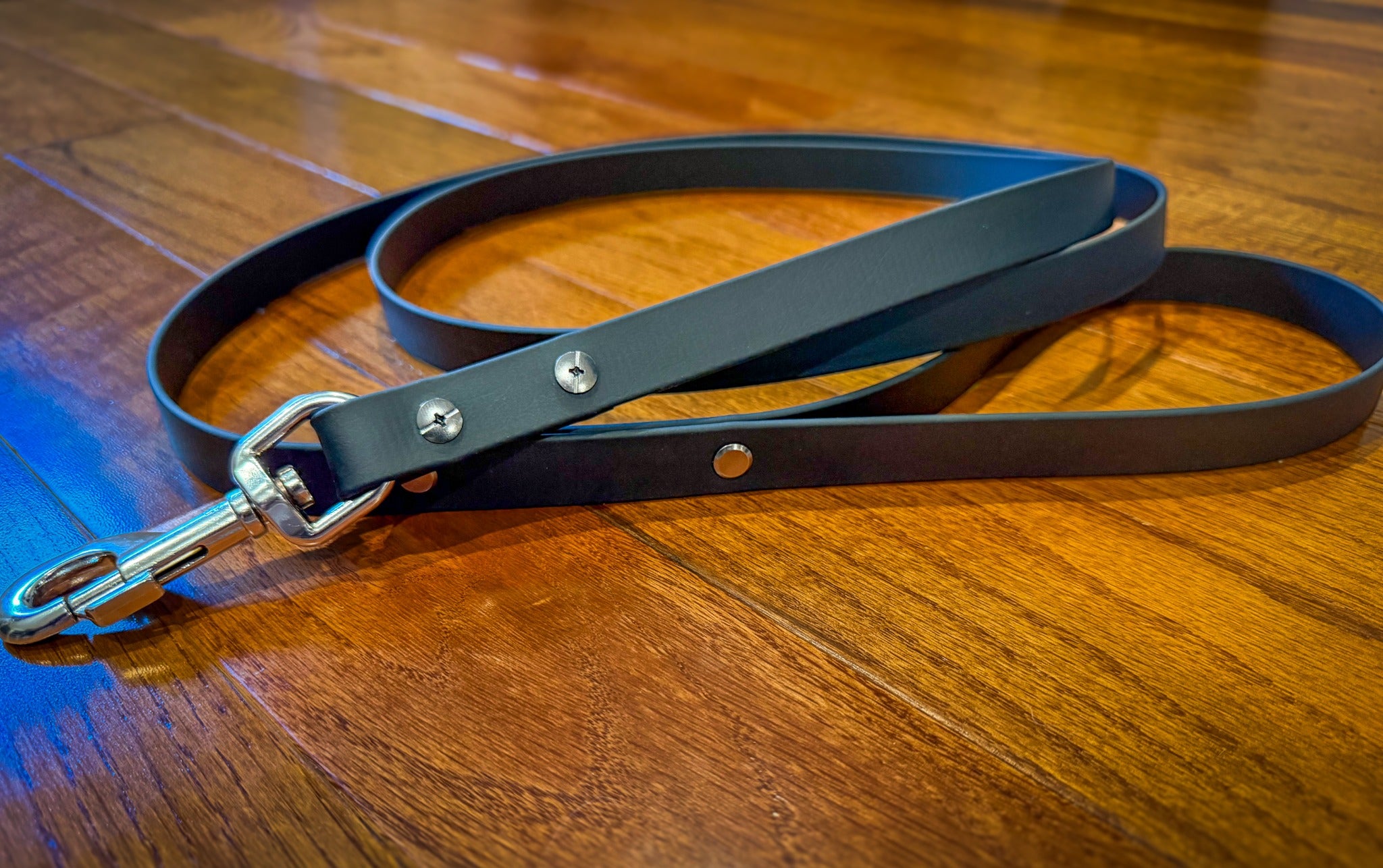 Black BioThane leash with snap clasp and replaceable Chicago screw hardware