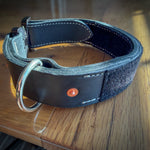 Rear view of black COBRA collar showing D-ring, copper rivet and loop panel