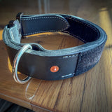 Rear view of black COBRA collar showing D-ring, copper rivet and loop panel