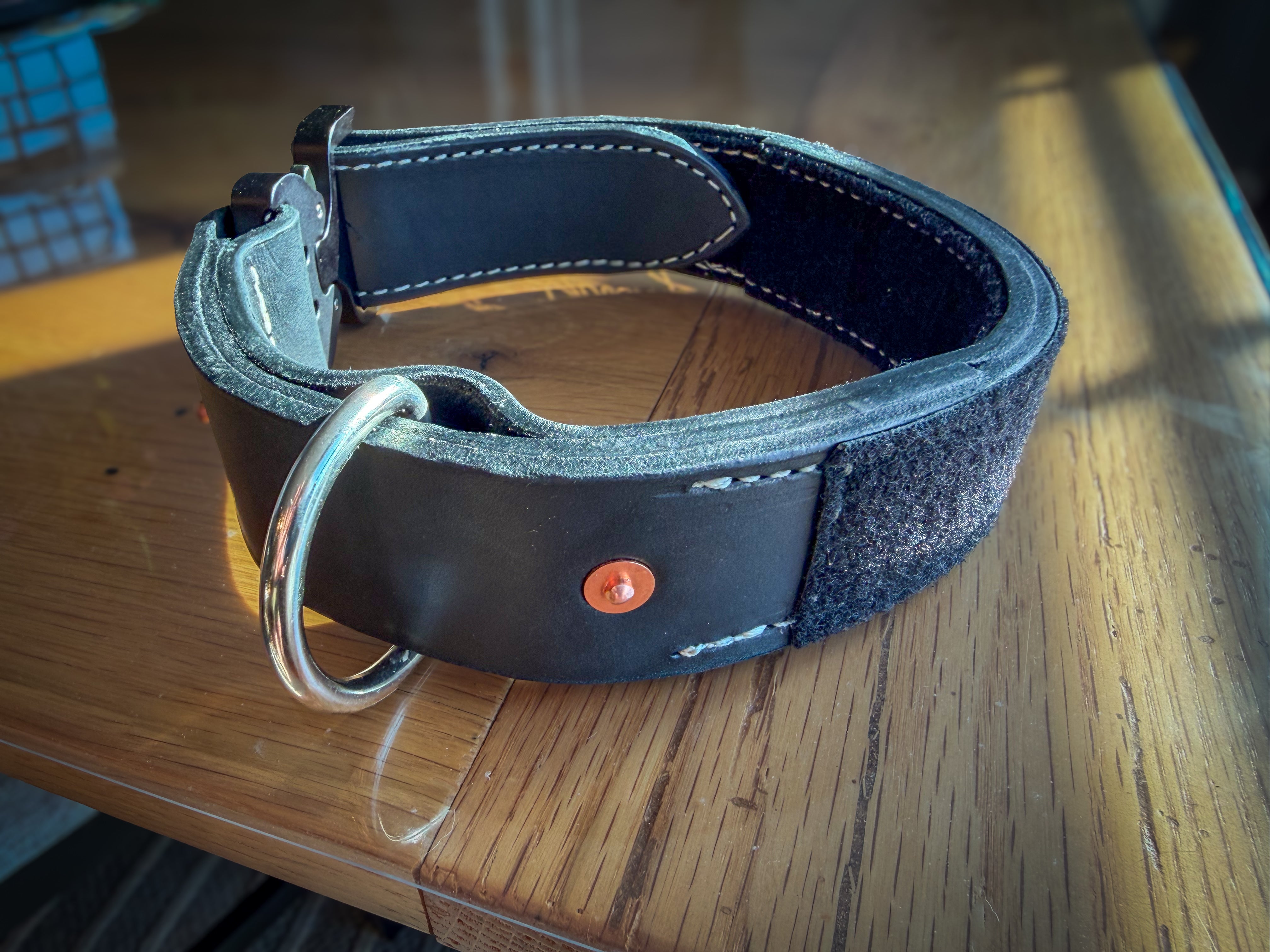 Rear view of black COBRA collar showing D-ring, copper rivet and loop panel