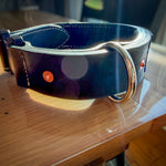 Black leather COBRA collar with large D-ring and copper rivet reinforcement in sunlight