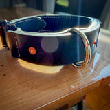 Black leather COBRA collar with large D-ring and copper rivet reinforcement in sunlight