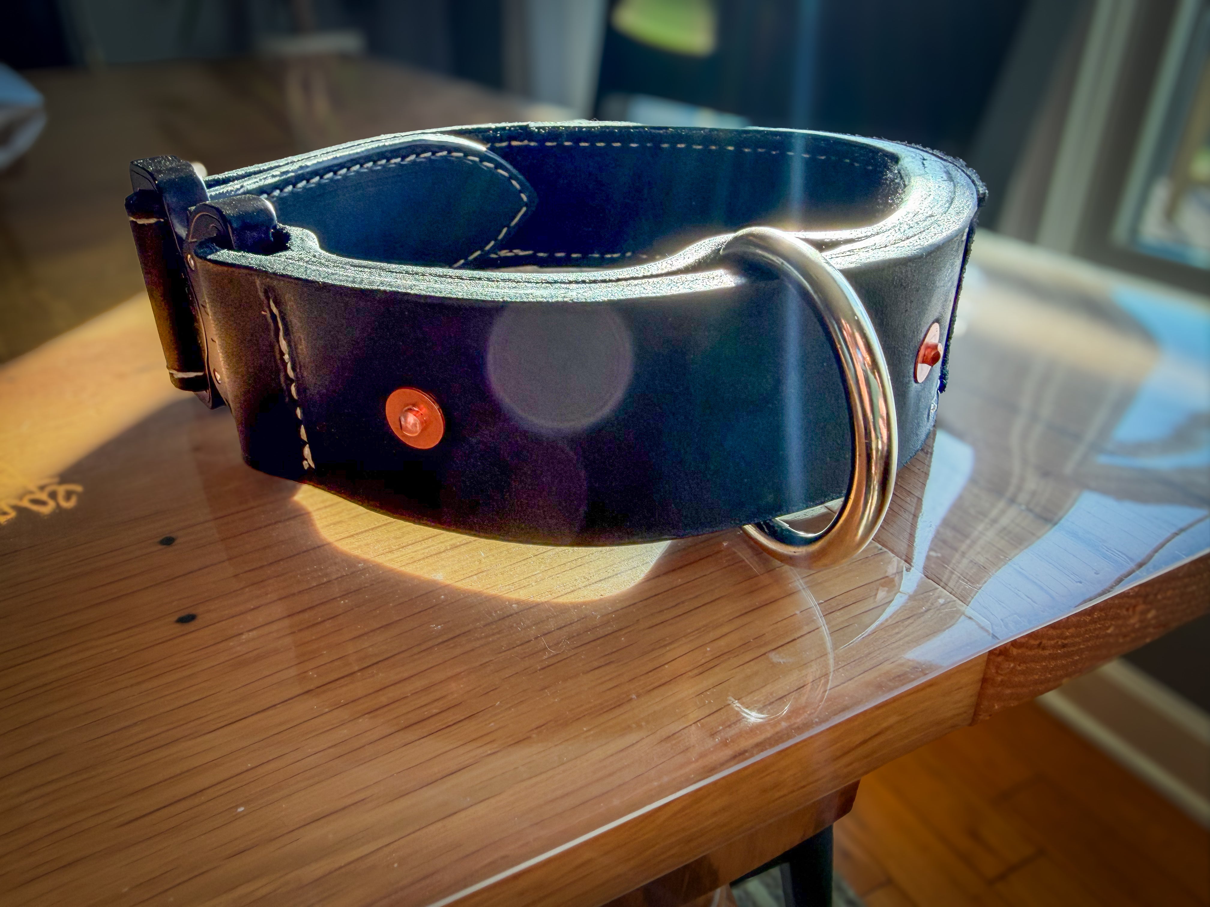 Black leather COBRA collar with large D-ring and copper rivet reinforcement in sunlight