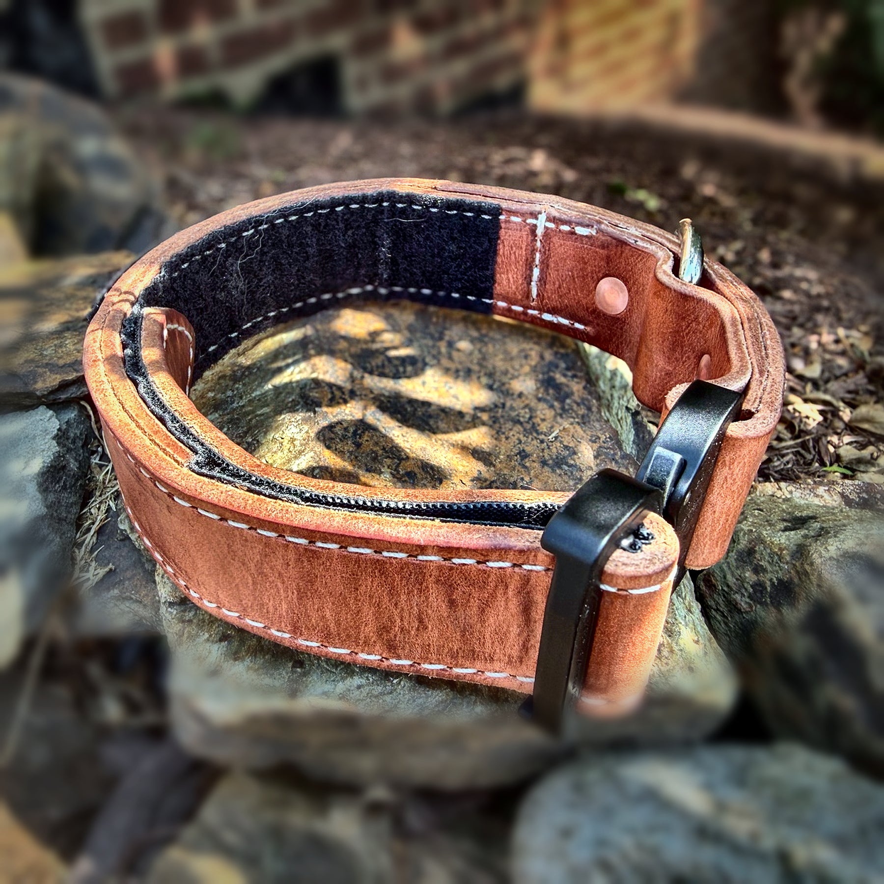 COBRA leather working dog collar showing adjustable hardware and reinforced construction