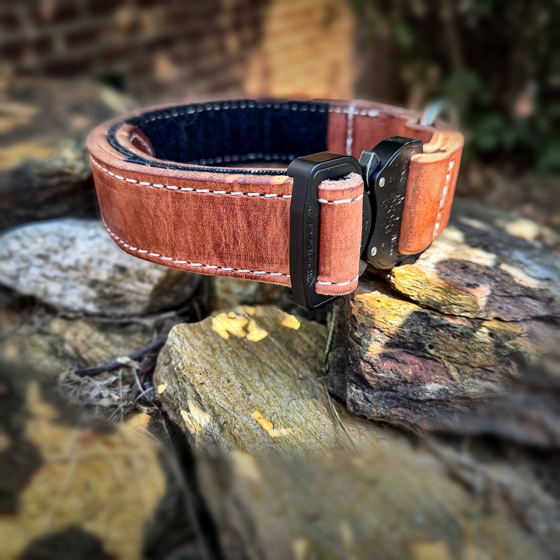 COBRA leather working dog collar buckle profile and stitched leather construction