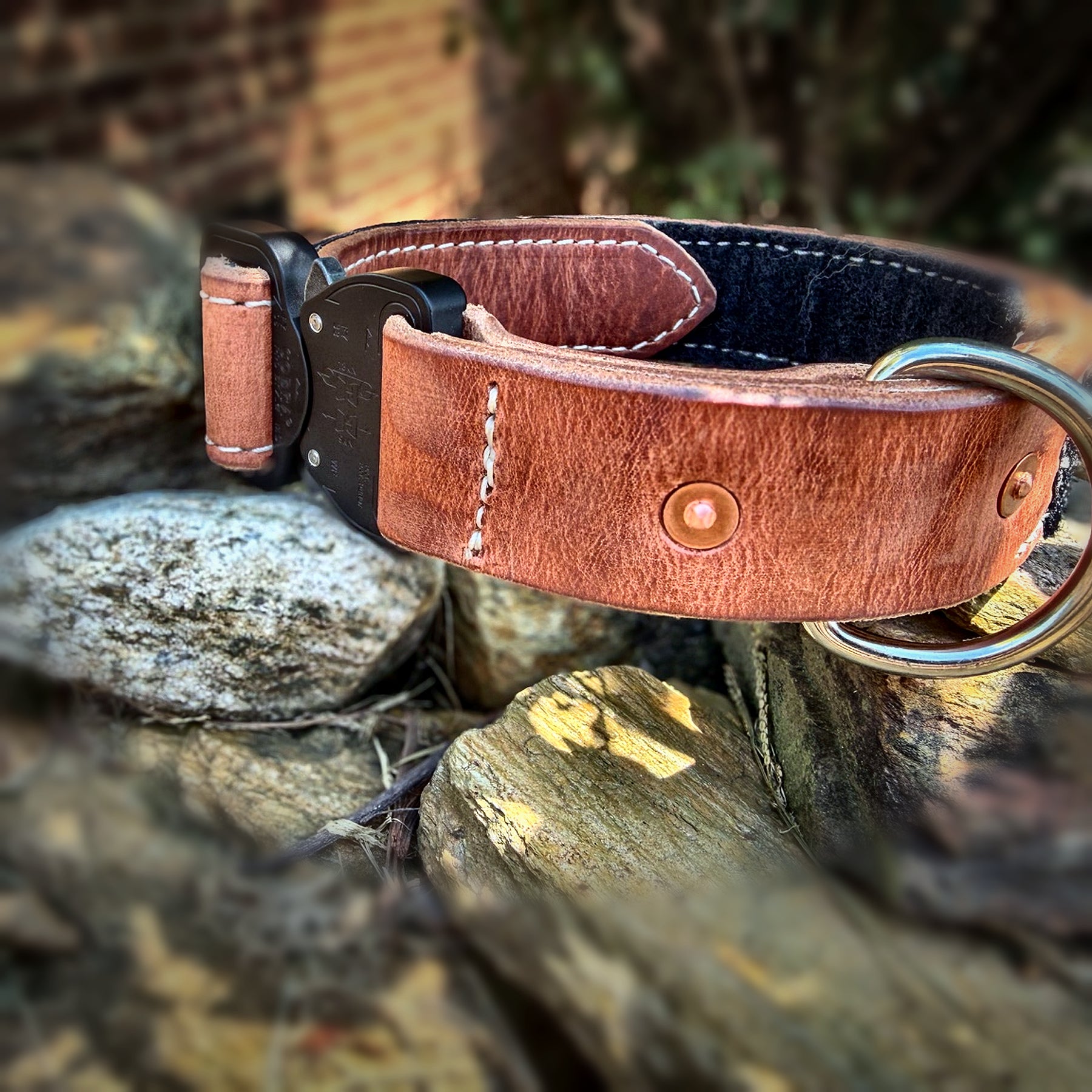 COBRA leather working dog collar showing D-ring and copper rivet reinforcement