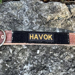 Full-length COBRA leather working dog collar showing identifier field and hardware