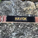 Full-length COBRA leather working dog collar showing identifier field and hardware