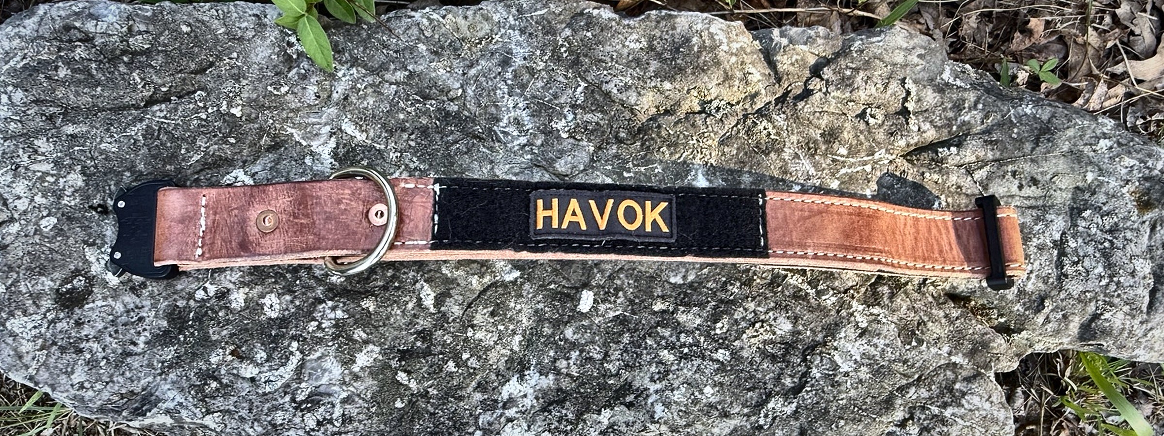 Full-length COBRA leather working dog collar showing identifier field and hardware