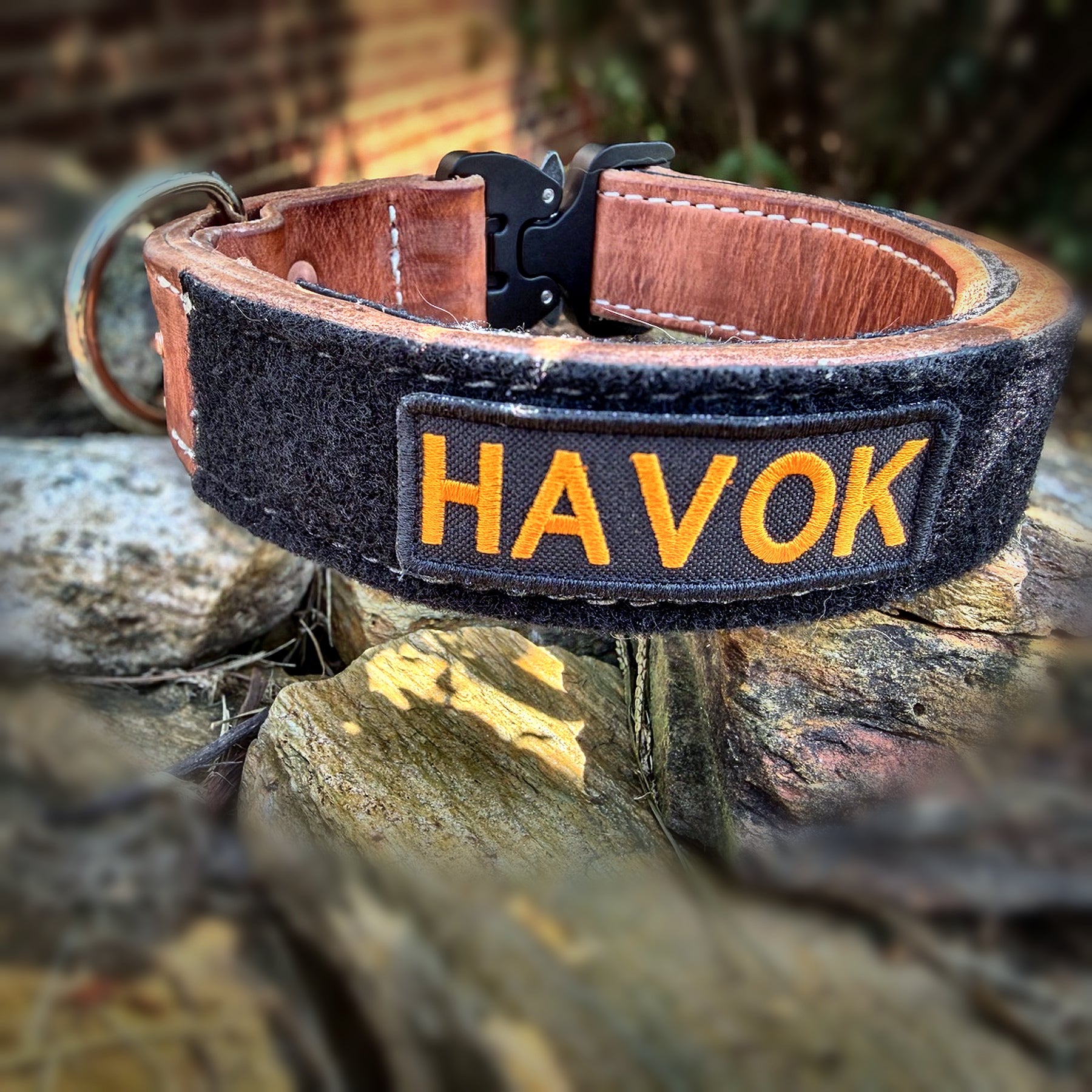 COBRA leather working dog collar with identifier panel, professional hero image