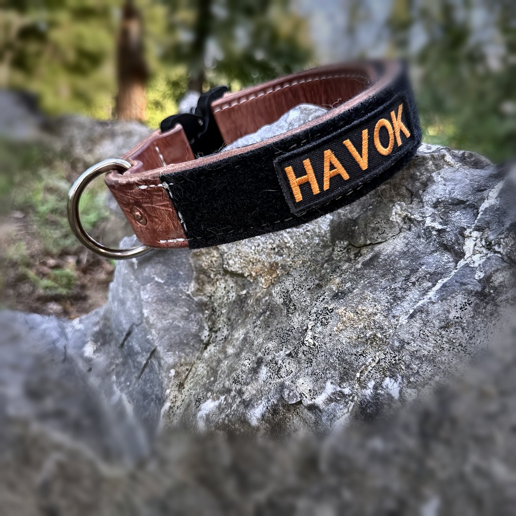 COBRA leather working dog collar with identifier panel photographed at a premium outdoor angle
