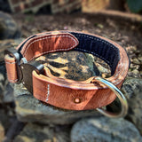 COBRA leather working dog collar showing layered leather construction and interior