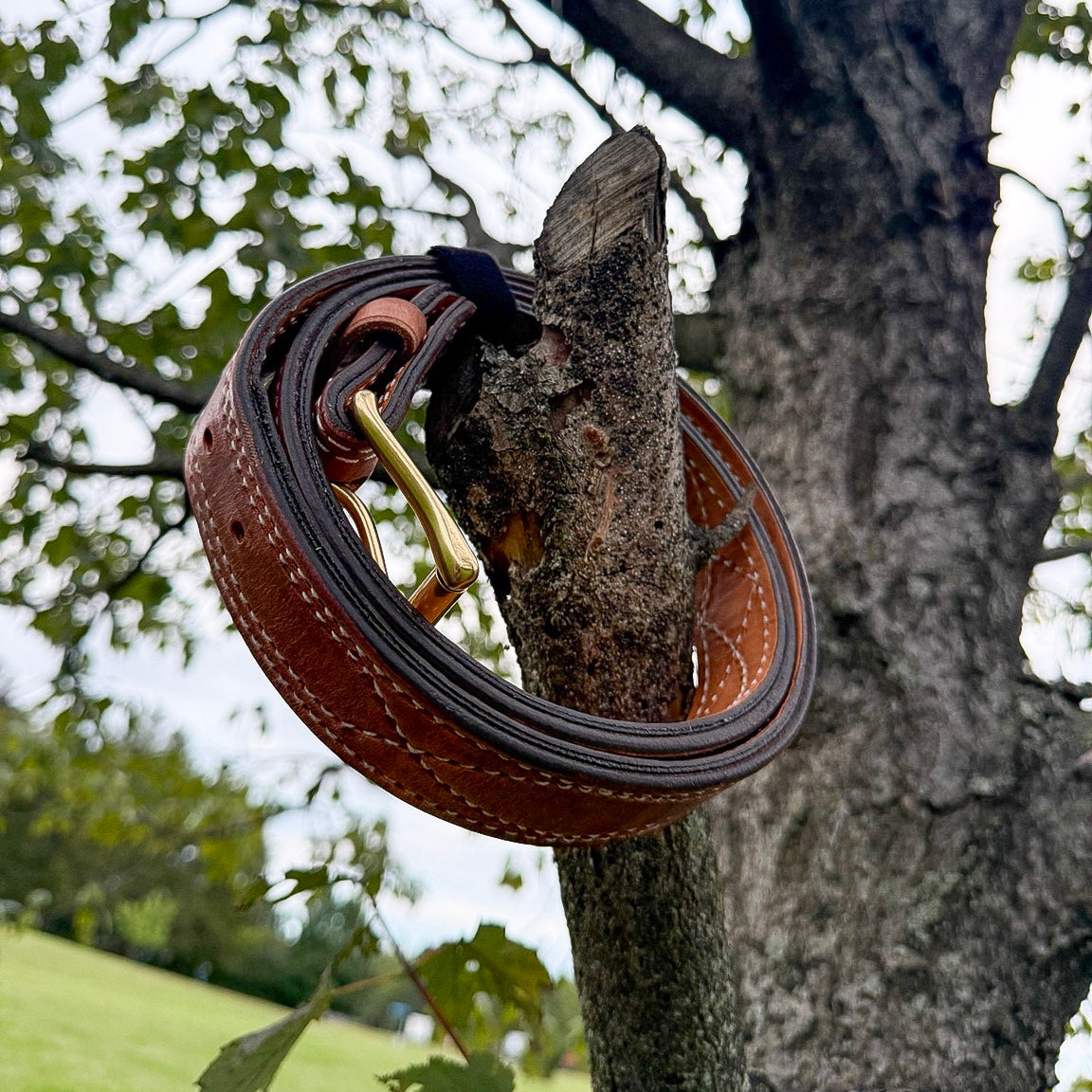 The Young Brand EDC Belt full-grain leather field photo on a tree